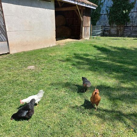 L' Embellie Sur Lot Bed & Breakfast Sainte-Livrade-sur-Lot Bagian luar foto
